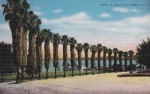 LP39  La Jolla, California, CA, postcard, Park View.