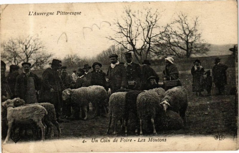 CPA AK L'Auvergne Pittoresque - Un Coin de Foire - Les Moutons (245110)