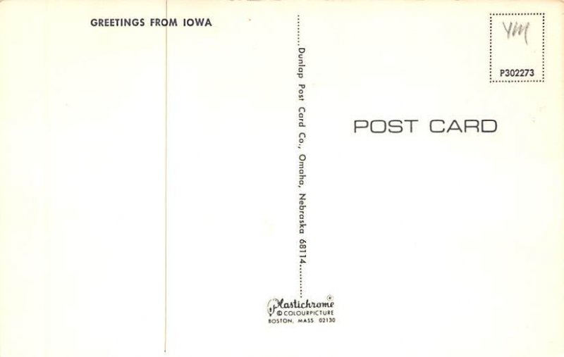 Greetings from, Iowa Postcard