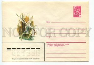 477470 USSR 1981 year Beylin bird Spoonbill postal COVER