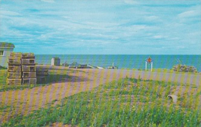 Canada End Of The Road At Pigeon Hill New Brunswick