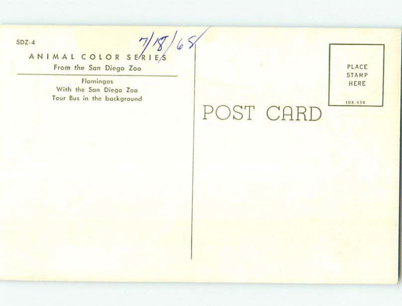 Chrome ZOO SCENE San Diego California CA AG1667