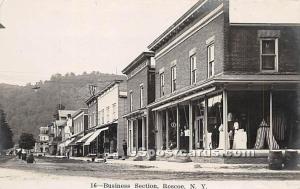 Business Section Roscoe NY 1915