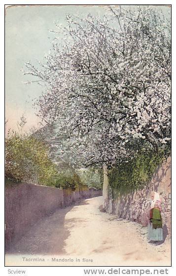 Mandorio In Fiore, Taormina (Messina), Sicily, Italy, 1900-1910s