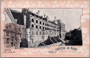 France Chateau de Blois Vintage Postcard C189