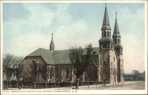 Albuquerque New Mexico NM Immaculate Conception Church Detroit Pub c1910 PC