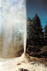 BG14345 waiotapu lady knox geyser new zealand