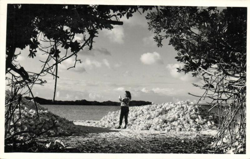 bonaire, N.W.I., Beach Scene with Large Piles of Sea Shells (1950s) Mayer RPPC