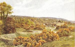 \The Common, Turnbridge Wells\ Nice PC signed by A.R.Quinton