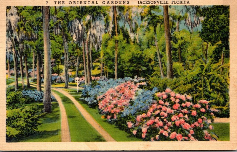 Florida Jacksonville The Oriental Gardens 1939 Curteich