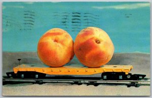 Lakeside Ottawa County Ohio 1959 Postcard Giant Exaggerated Peaches on Flatcar