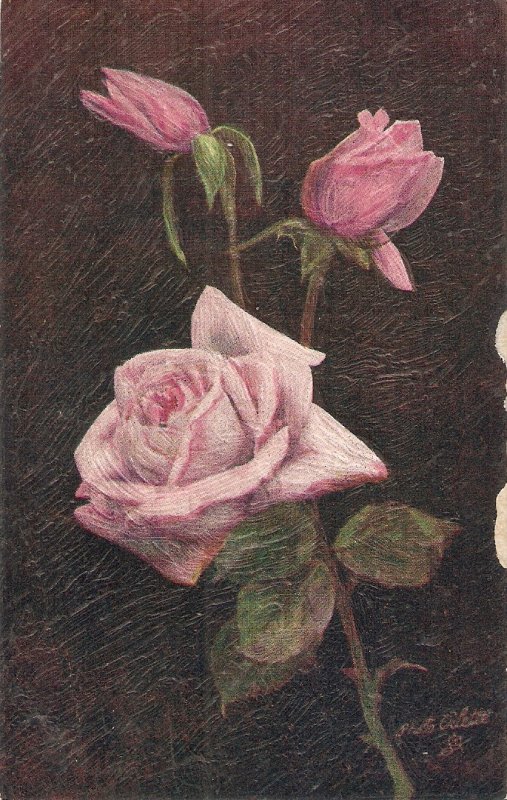 Beautiful Roses Tuck Photo Oilette Ser. PC # 539