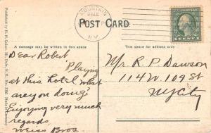 Mount Dale New York Grand View Hotel Antique Postcard J46037