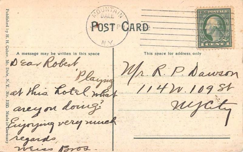 Mount Dale New York Grand View Hotel Antique Postcard J46037