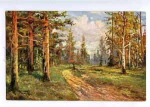 224445 RUSSIA KAPUSTIN Road pine forest #1325 vintage postcard