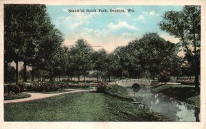 Oshkosh Wisconsin, Beautiful South Park Nature Attraction Vintage Postcard 1921