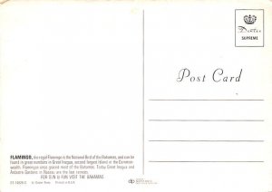 Flamingos Bahamas Unused 