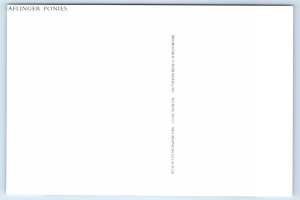 2 Modern Postcards OLDENBURG HORSES ~ HAFLINGER PONIES 4x6