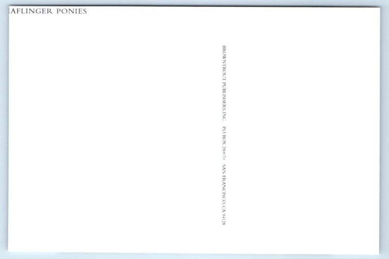 2 Modern Postcards OLDENBURG HORSES ~ HAFLINGER PONIES 4x6