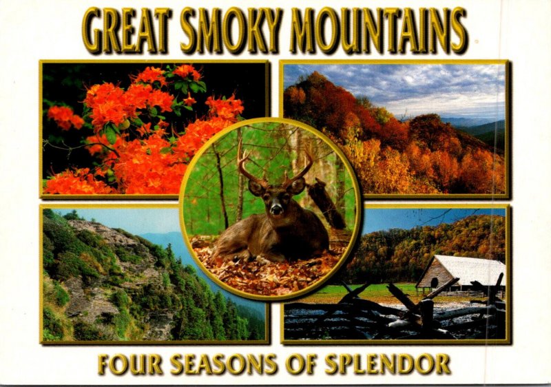 Great Smoky Mountains National Park Multi View Four Seasons Of Splendor