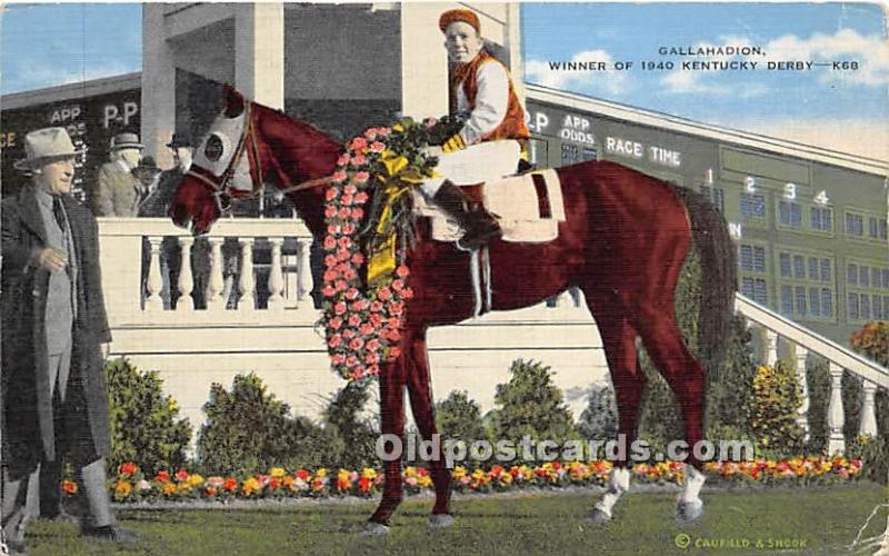 Gallahadion Winner of 1940 Kentucky Derby Clark County, Kentucky, KY, USA Unused