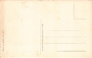 A649 Italy Asti Panorama Passepartout vintage postcard