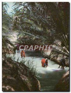 Postcard Modern Tunisia Lavandieres the Oasis