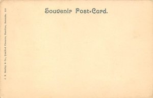 Old Devonshire Church Bermuda Postcard