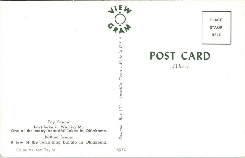 Vintage Postcard Greetings from EL RENO OKLAHOMA JO7