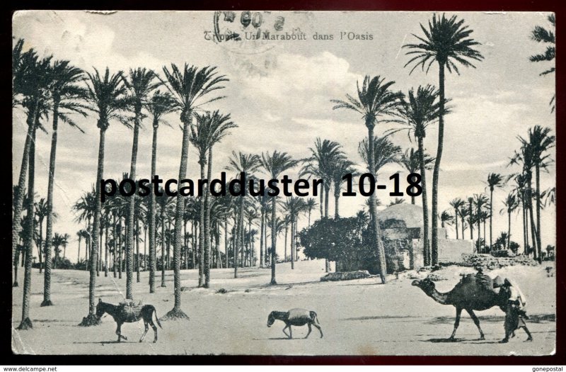 dc1753 - LIBYA Tripoli 1909 Italy Colony. Marabout in Oasis