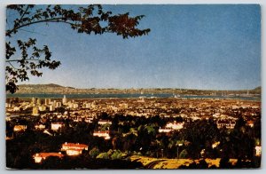 California~Panorama View Of Bay Area Two Bridges & Oakland~Vintage Postcard