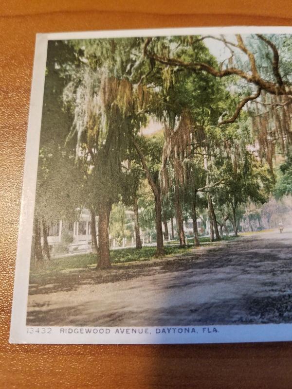 Antique Postcard entitled Ridgewood Avenue, Daytona, Fla.  Phostint 13432