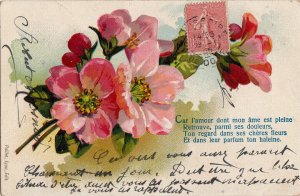 Blossom flowers chromo Litho 1905 greetings postcard France 