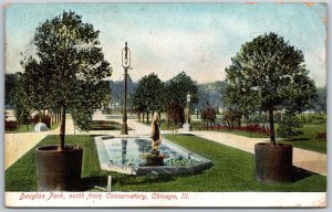 Vtg Chicago Illinois IL Douglas Park North From Conservatory 1907 View Postcard