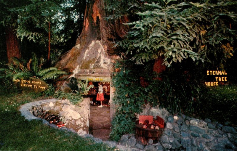 California Redcrest The Eternal Tree House