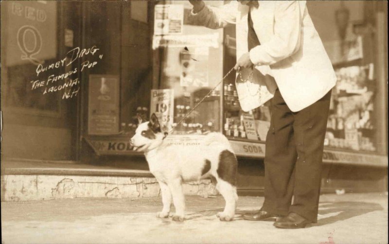 Laconia NH Quimby Drugstore Drug Store Siberian Husky? Puppy Dog RPPC