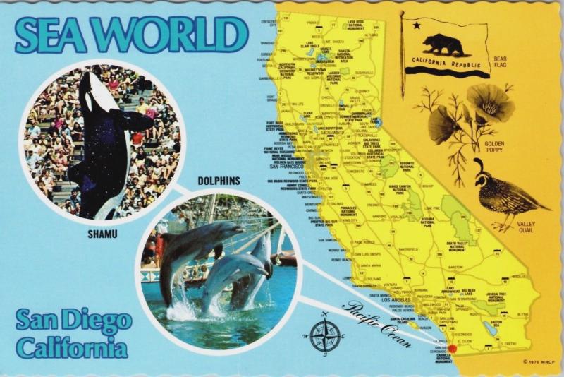 Sea World San Diego CA California Shamu Orca Whale Map Postcard D34 *As Is 