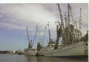 America Postcard - Fishing - Georgetown Shrimp Boat Fleet - Ref TZ11