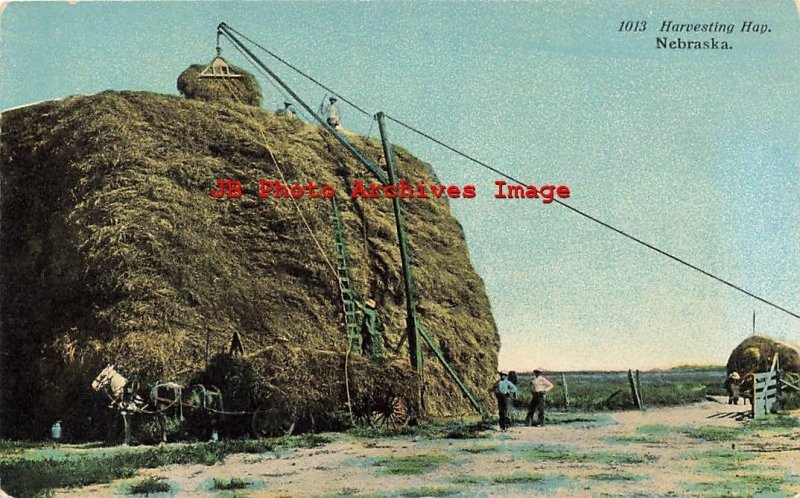 Farming Scene, Workers Harvesting Hay in Nebraska, Curt Teich No A1313