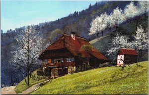 Germany Schwarzwald Kirnbachtal Kirnbach Black Forest Vintage Postcard C067