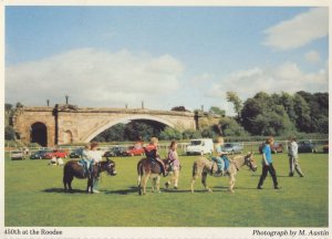 Chester Roodee Childrens Donkey Rides Cheshire Postcard