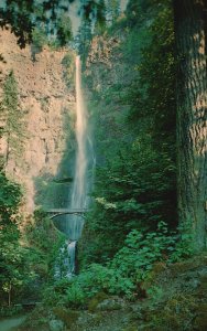 Vintage Postcard Multnomah Falls Waterfalls Columbia River Gorge Oregon OR