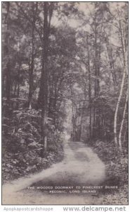 New York Long Island The Wooded Doorway To Pinecrest Dunes Albertype