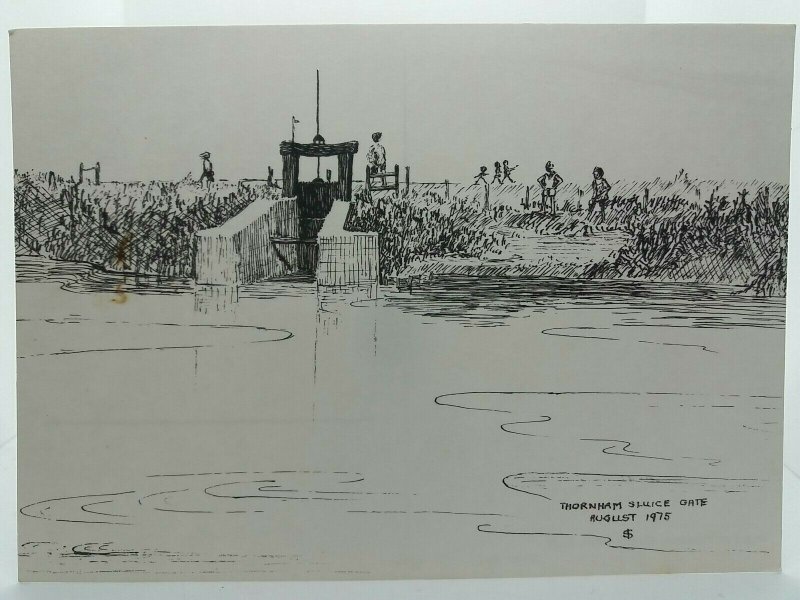 Thornham Sluice Gate Norfolk August 1975 Vintage Sketch Art Drawing Postcard