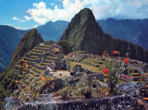 VINTAGE CONTINENTAL SIZE POSTCARD VIEW OF CITADEL AND WAYNAPICCHU PERU