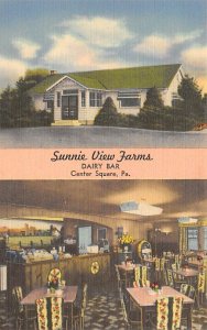 Sunnie View Farms Center Square, Pennsylvania USA View Postcard Backing 