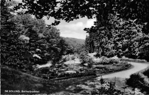 BG32076 im solling reiherbachtal    germany  CPSM 14x9cm