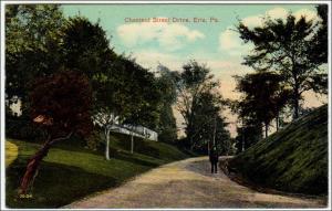 Chestnut St. Dr, Erie PA