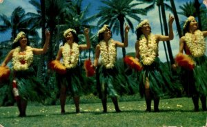 Hawaii Hawaiian Dancers Native Hulu Girls Chrome Postcard 08.57