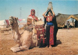 Beduins near their tent camel Postcard